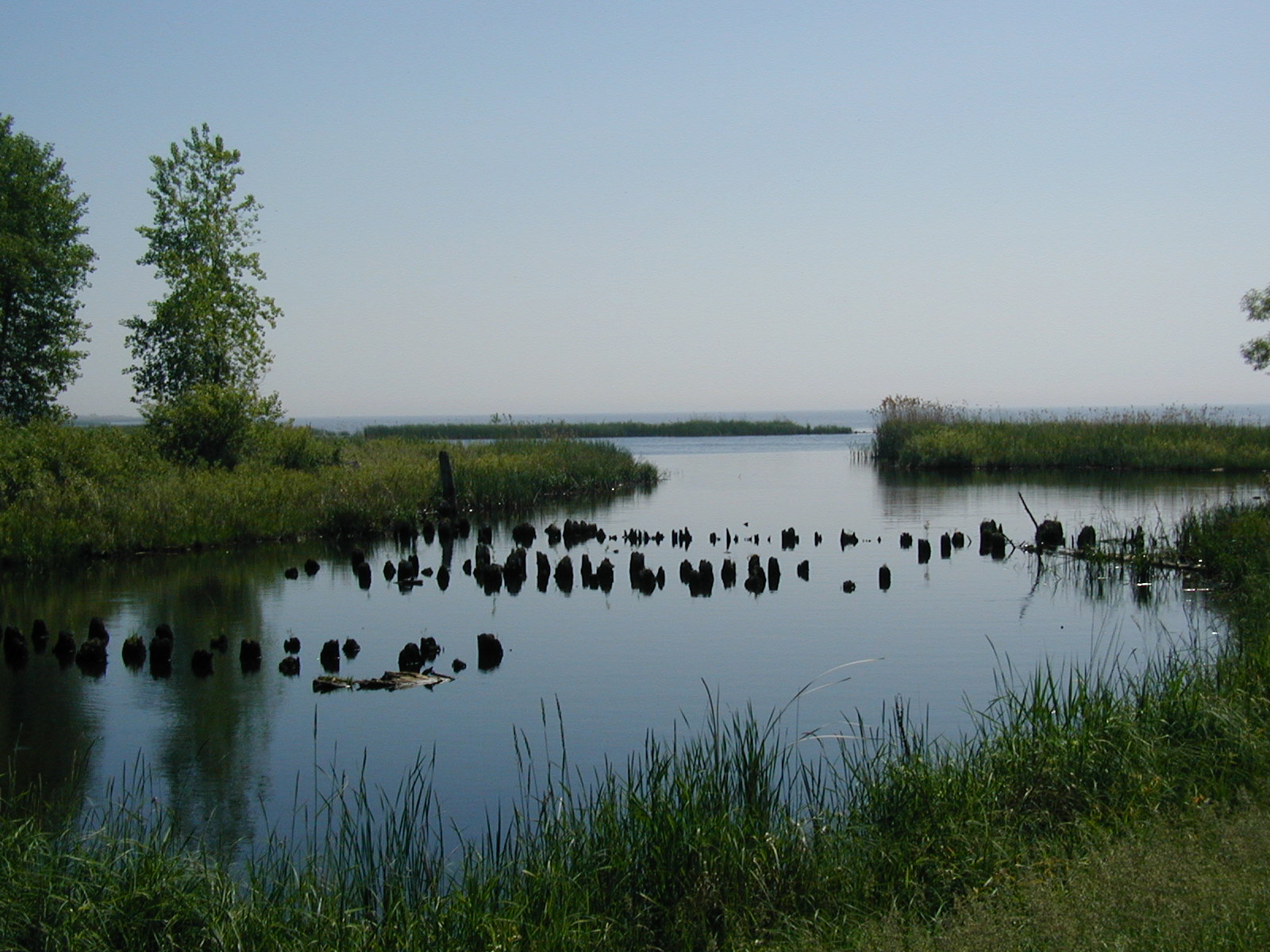 County » Departments » Land Information » Environmental